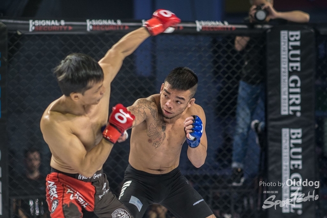 JUST MMA144