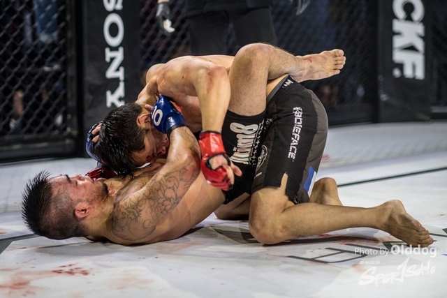 JUST MMA161