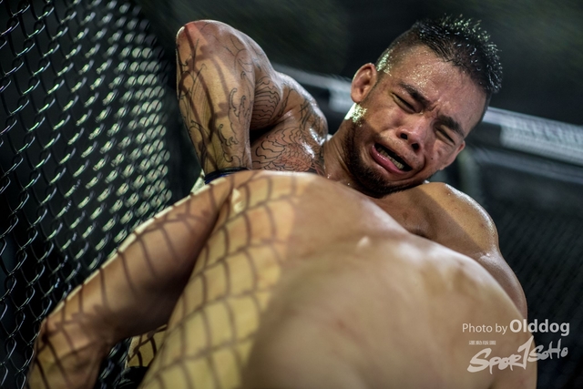 JUST MMA171