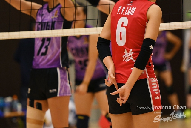 Volleyball (8)