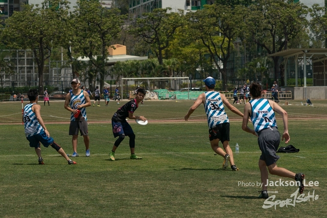 DSC00531