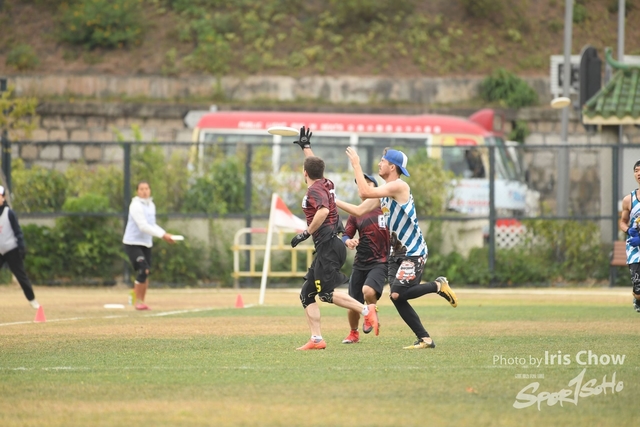 CYY_3392