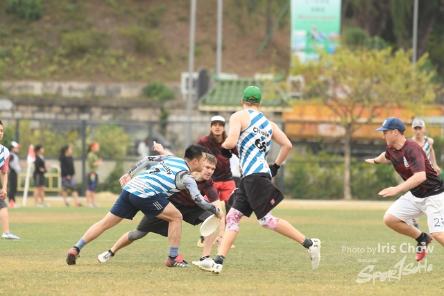 CYY_3398