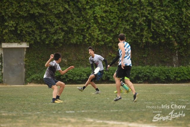 CYY_3508