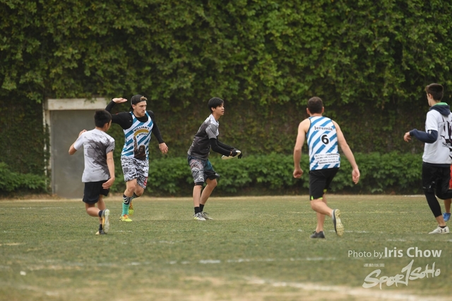 CYY_3509