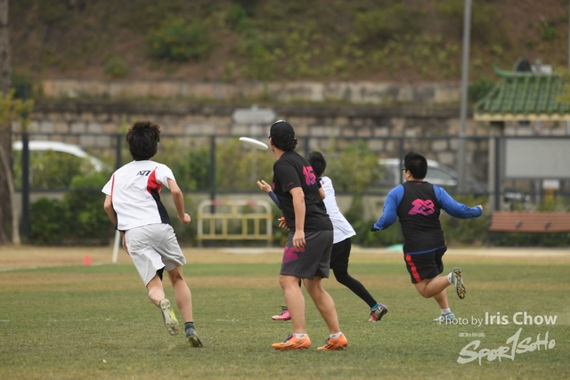 CYY_3531