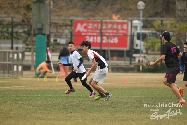 CYY_3534