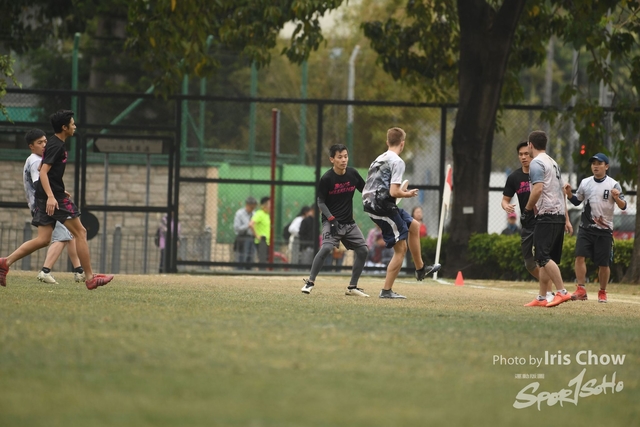 CYY_4117