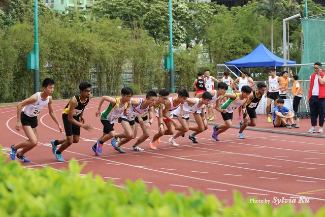 D80A2980 copy