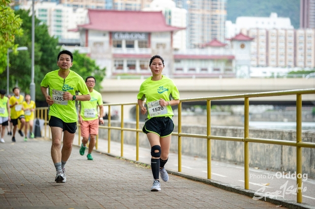 HSMC Run-232