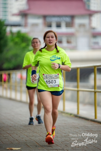 HSMC Run-241