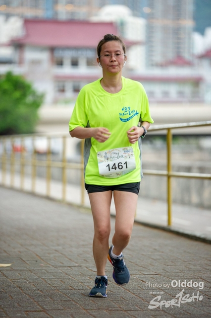 HSMC Run-242