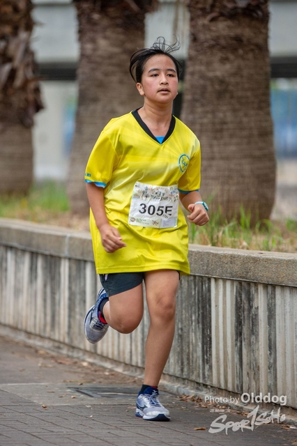 HSMC Run-244