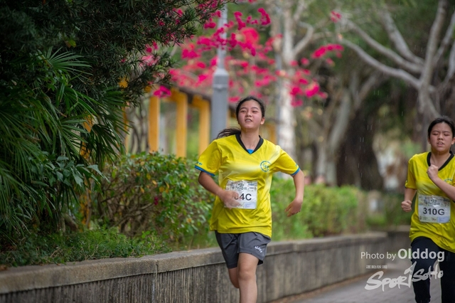 HSMC Run-248