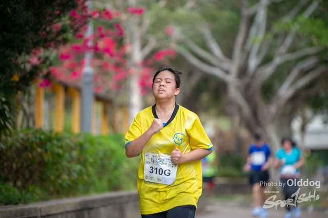 HSMC Run-249