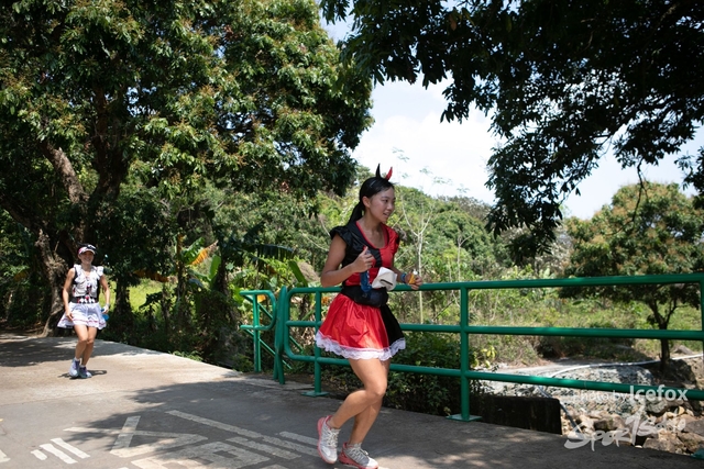 WKX_3691