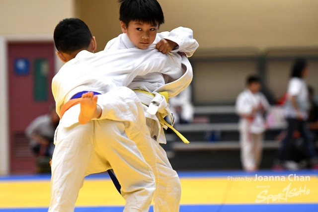 Judo (15)