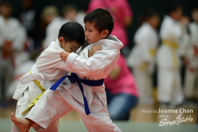 Judo (196)