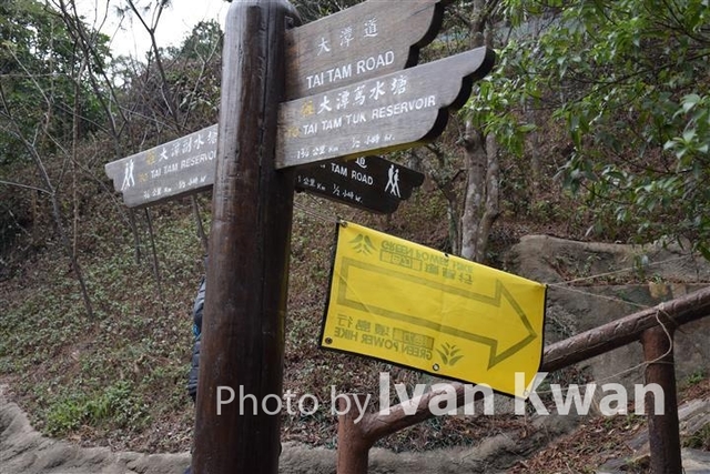 DSC_0050 (Small)