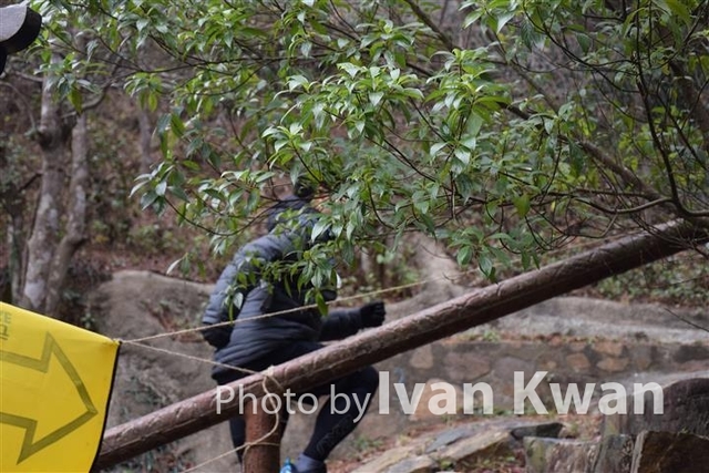 DSC_0051 (Small)