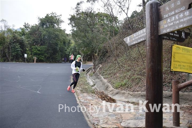 DSC_0061 (Small)