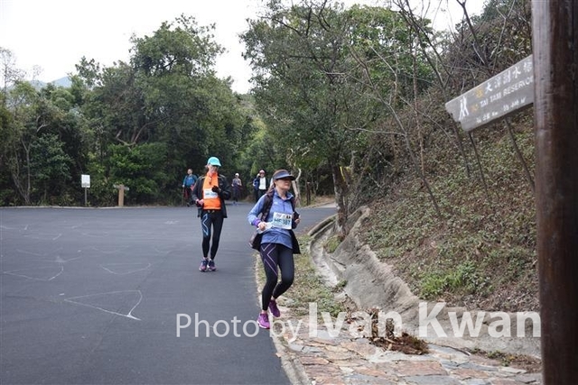 DSC_0078 (Small)
