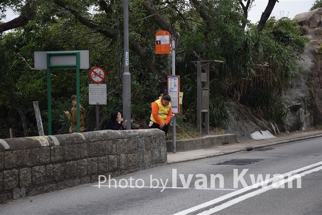 DSC_0082 (Small)