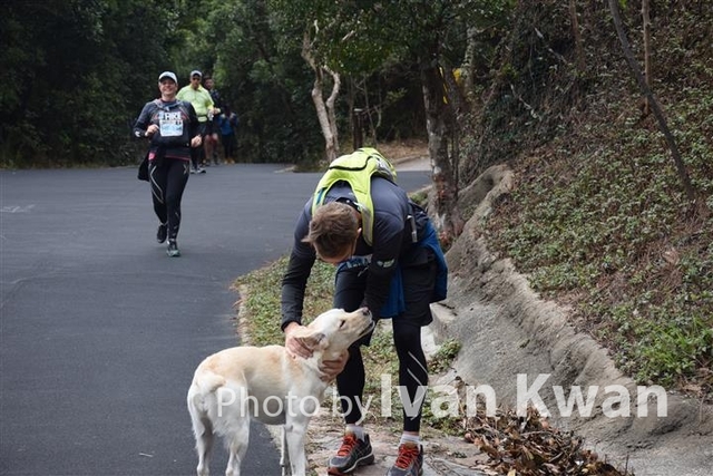 DSC_0984 (Small)