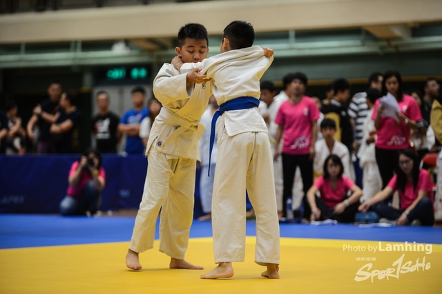 LAM_95341