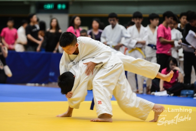 LAM_95471
