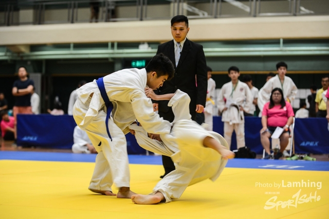 LAM_95571