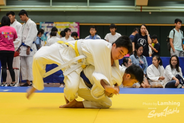 LAM_97021