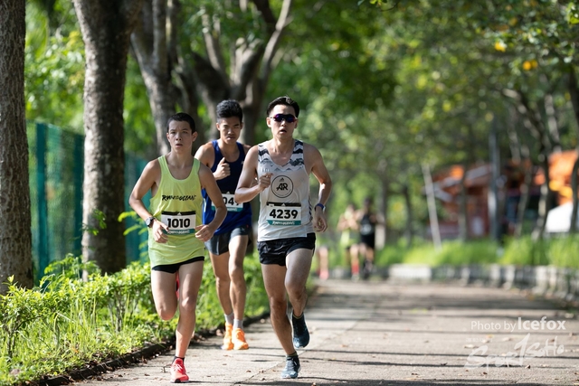 Adidas_Run (7)