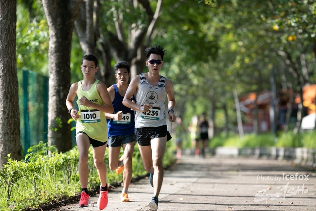 Adidas_Run (8)