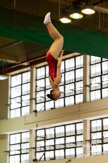_DSC0456