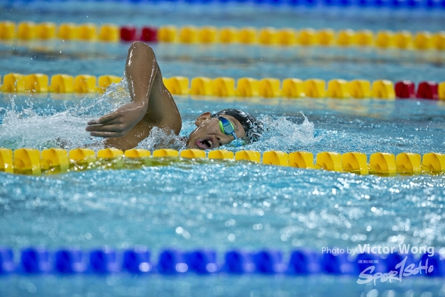 swim (14)