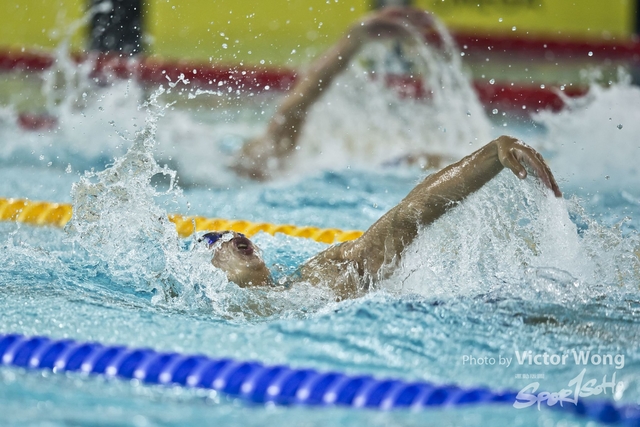 swim (94)