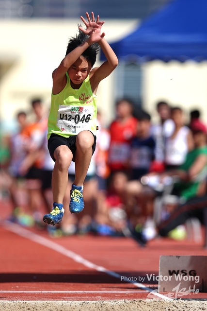 WAC2018(133)