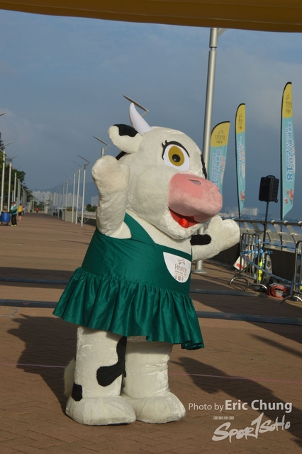 HEIFER0036