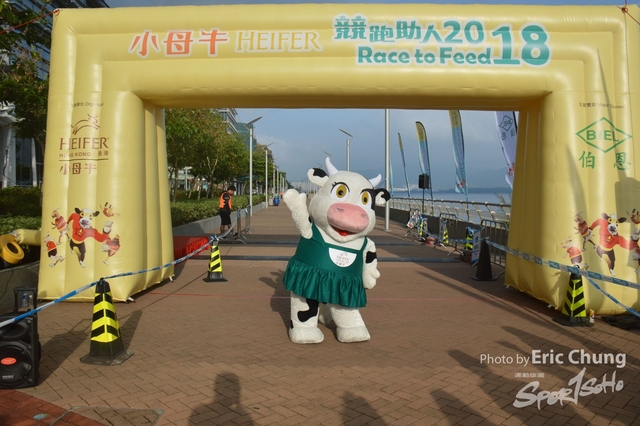 HEIFER0040