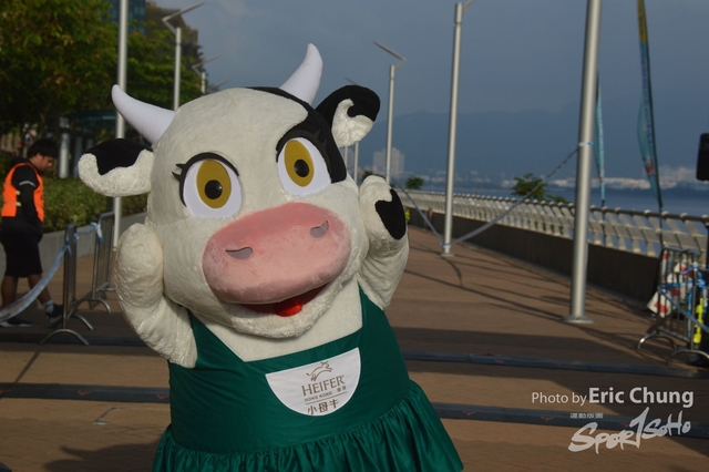 HEIFER0044