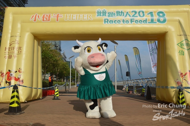 HEIFER0049