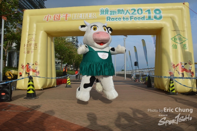 HEIFER0054