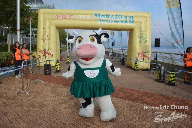 HEIFER0057