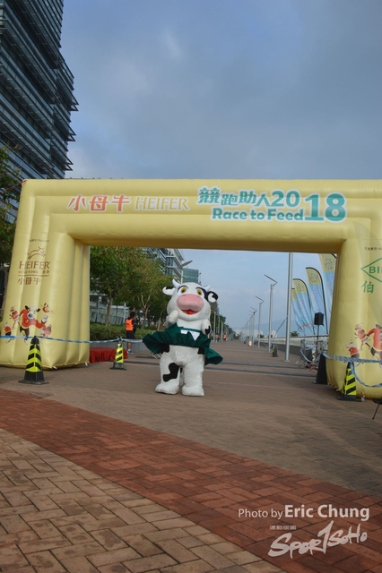 HEIFER0062