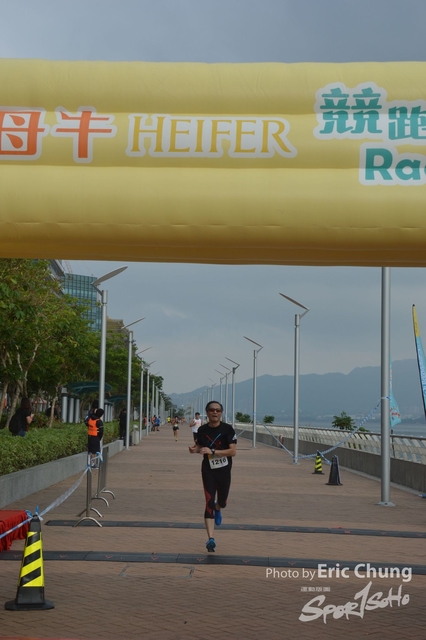 HEIFER0160