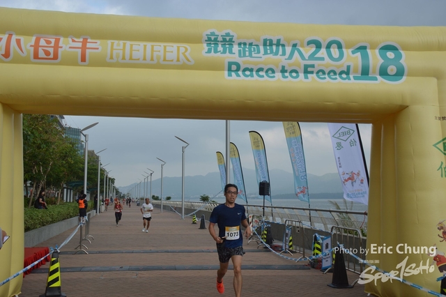 HEIFER0239