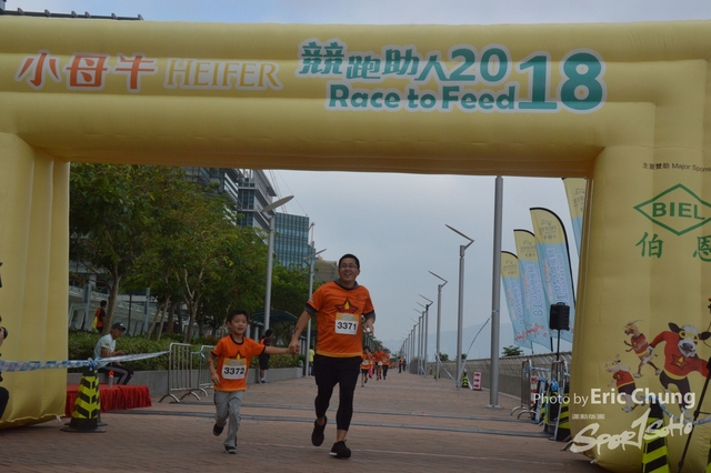 HEIFER_20180247