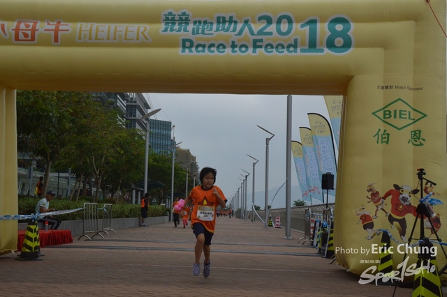 HEIFER_20180250