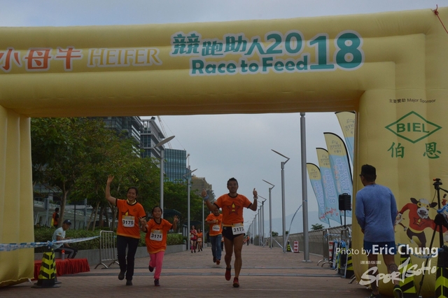 HEIFER_20180253